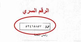 كيفية الحصول على الرقم السري للتنسيق 2025
